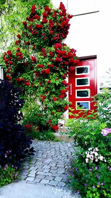 Addario Türen Fenster Service