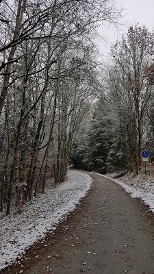 683394a379558