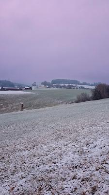 683394a56876c