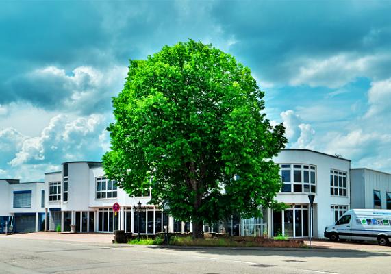 Blank Metallbau-Technik GmbH