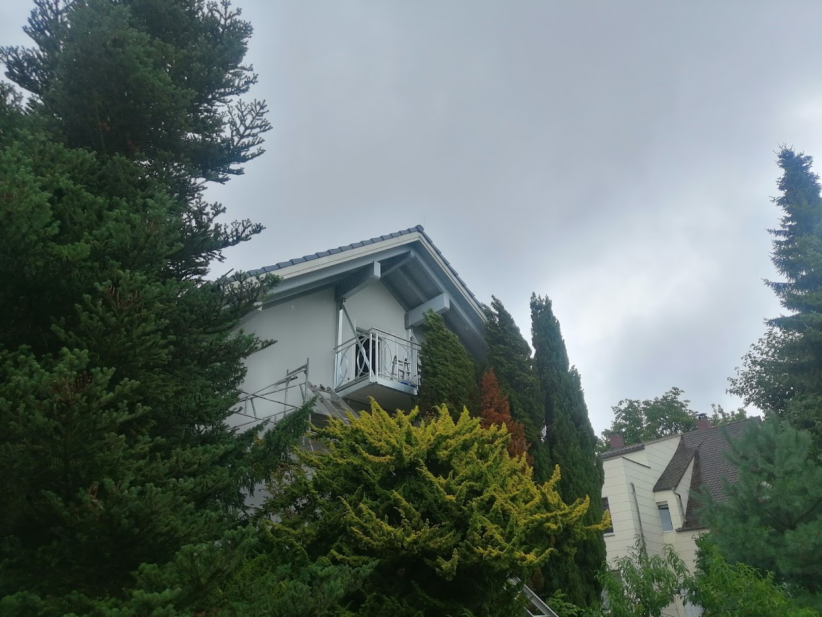 683397d165970