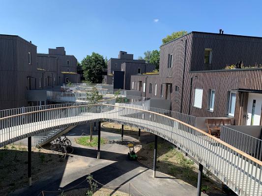 Sauer & Wittmann GmbH & Co. KG