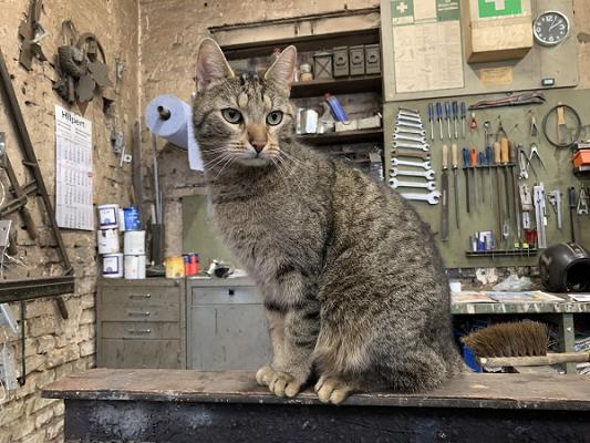 Schlosserei Albert Rissel