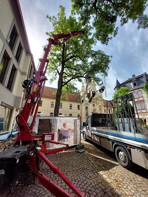 Metallbau Storch GmbH