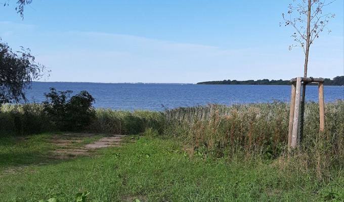 Stahl-Bau Ribnitz GmbH