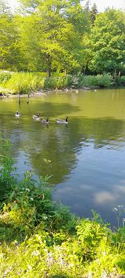 Nordenham Metall GmbH