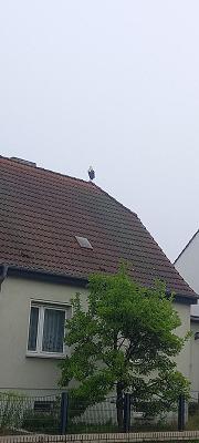 Stahl- und Behälterbau Krüger GmbH