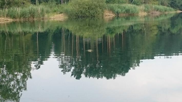 6833c539f3480