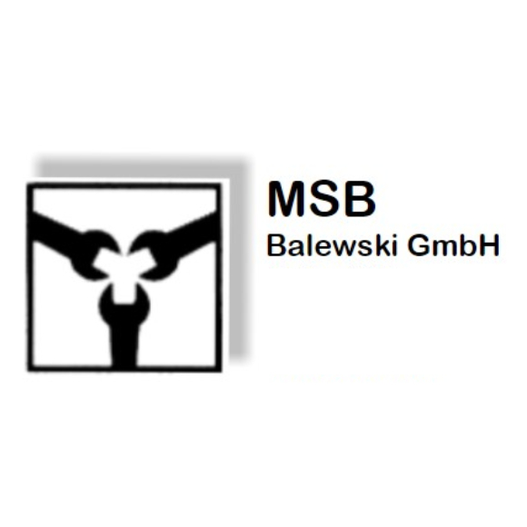 6833ce3b517b8