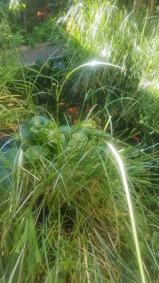 Andreas Knöbl Dachdeckerei