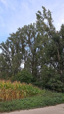 MTE Metalltechnik Etzkorn GmbH