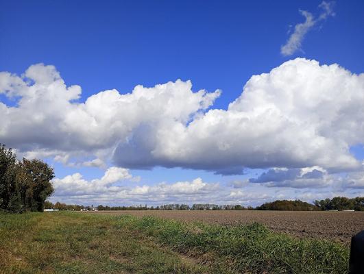 Landtechnik & Metallbau OHG Wonnegau