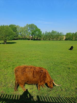 Metallbau & Montage Lutz Schäfer GmbH