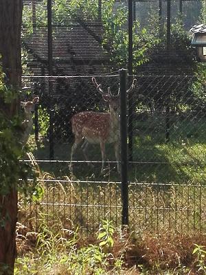 Wilke Metallbau Inh. Rico Teubner